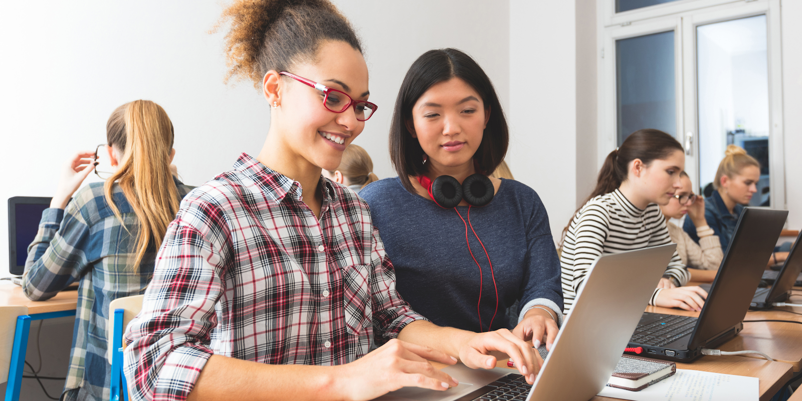 The Software Engineer Community and Network